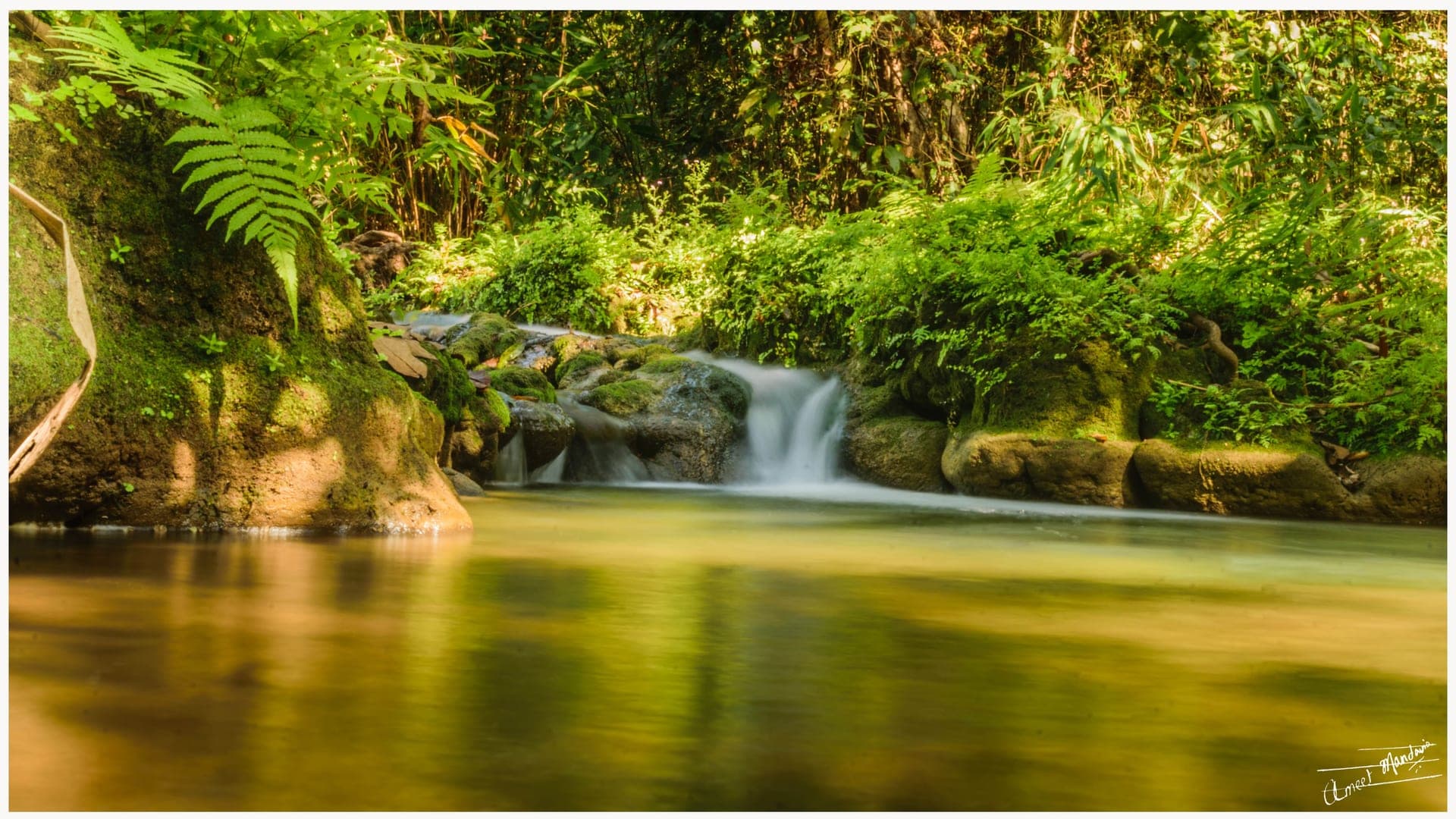 Kanger Valley Forest